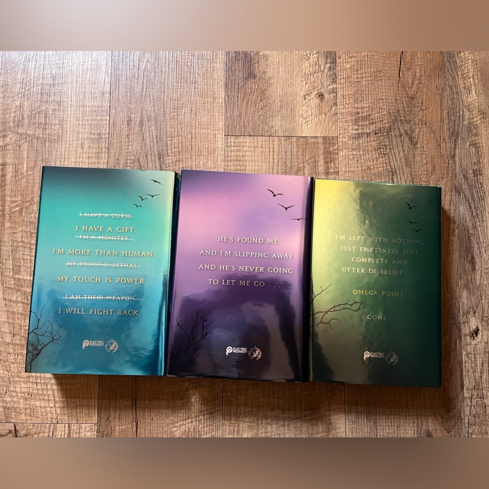 Fairyloot Shatter Me - Picture 3 of 7